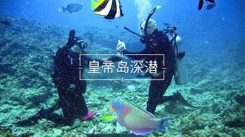 熬夜对身体有哪些危害？游戏画面