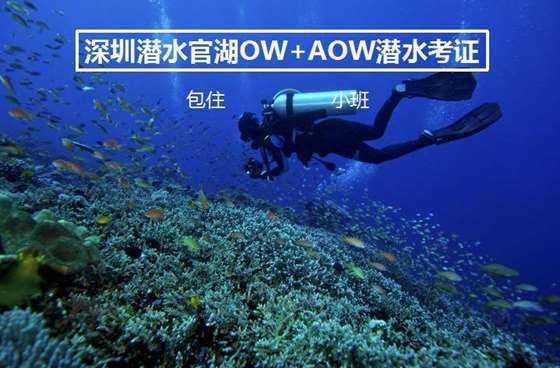 不知道女人是不是喜欢我,感觉她会找个借口跟我说话,她跟我说她不好意思找我聊天,说我也不知道找她聊天 - 今日(2025-05-24)更新 - 中国实时报